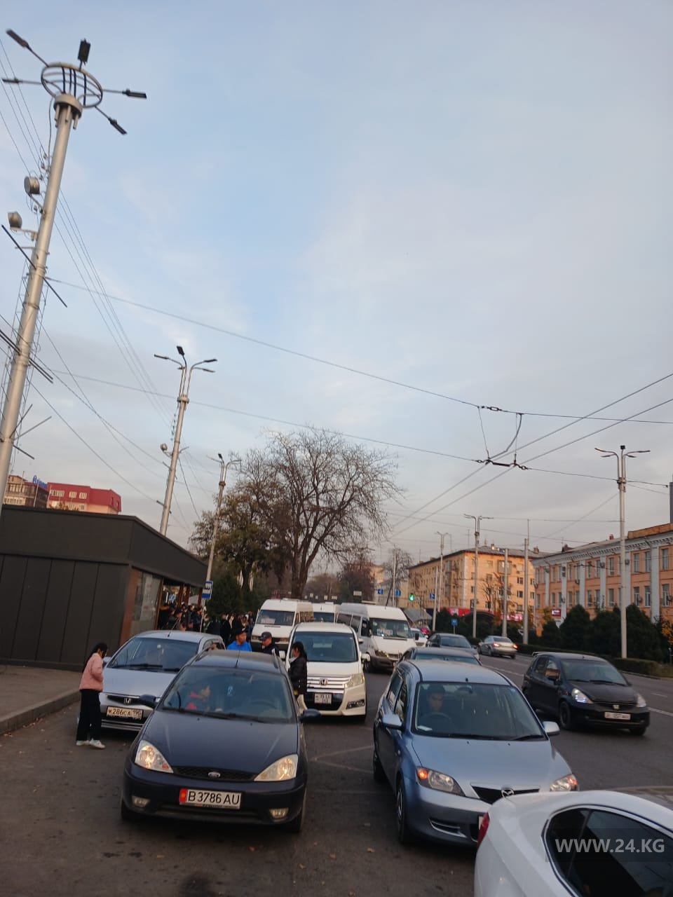 Чудаки парковки