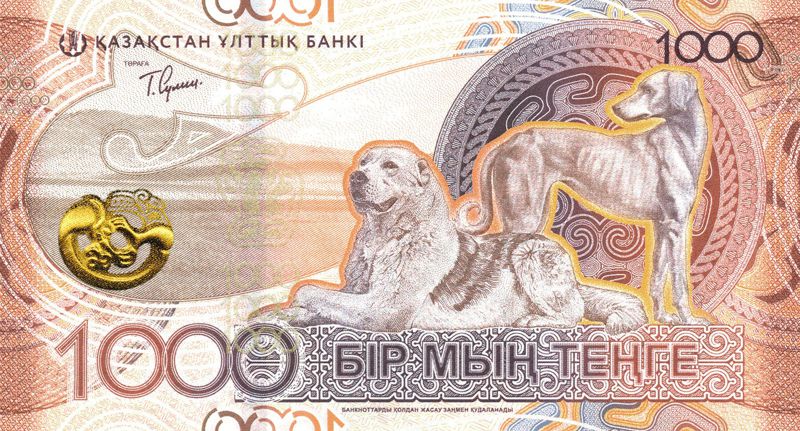 Новый дизайн тенге