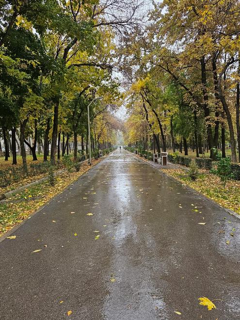 Осенний Бишкек, в ожидании зимней сказки