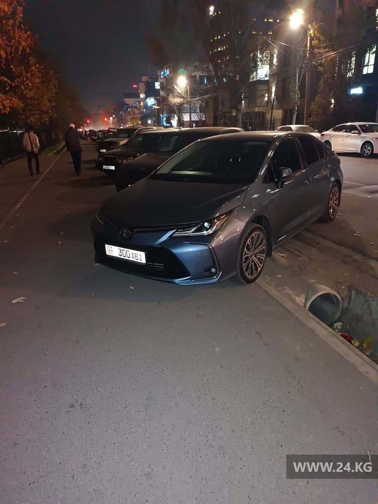 Чудаки парковки