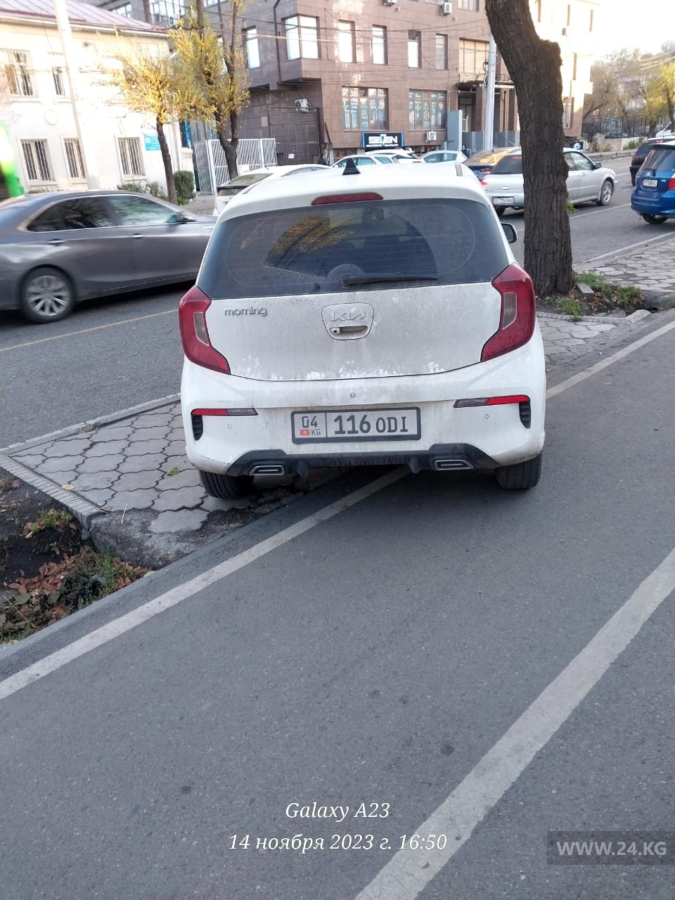 Машины на велодорожке