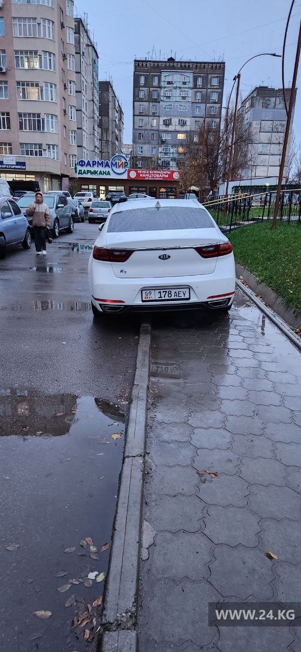 Чудаки парковки