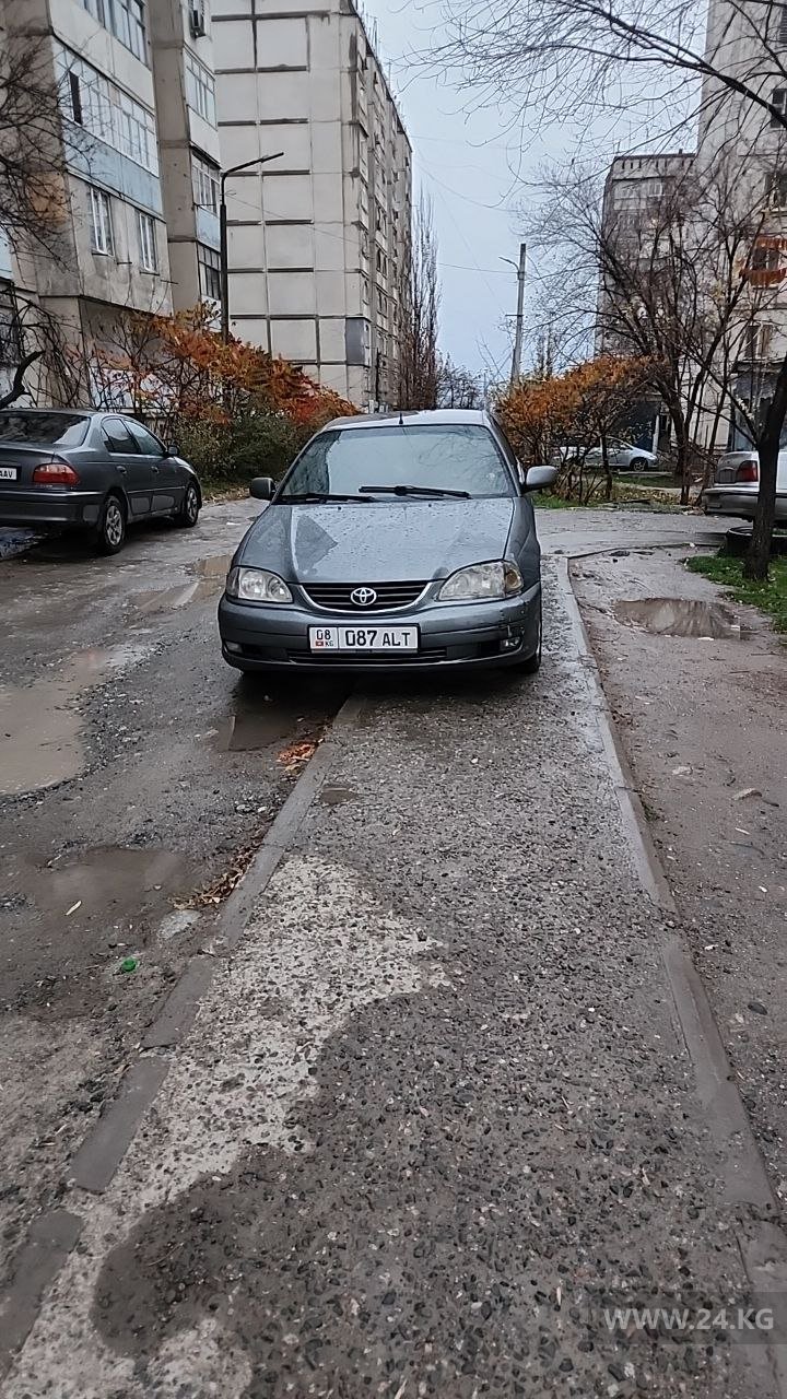 Чудаки парковки