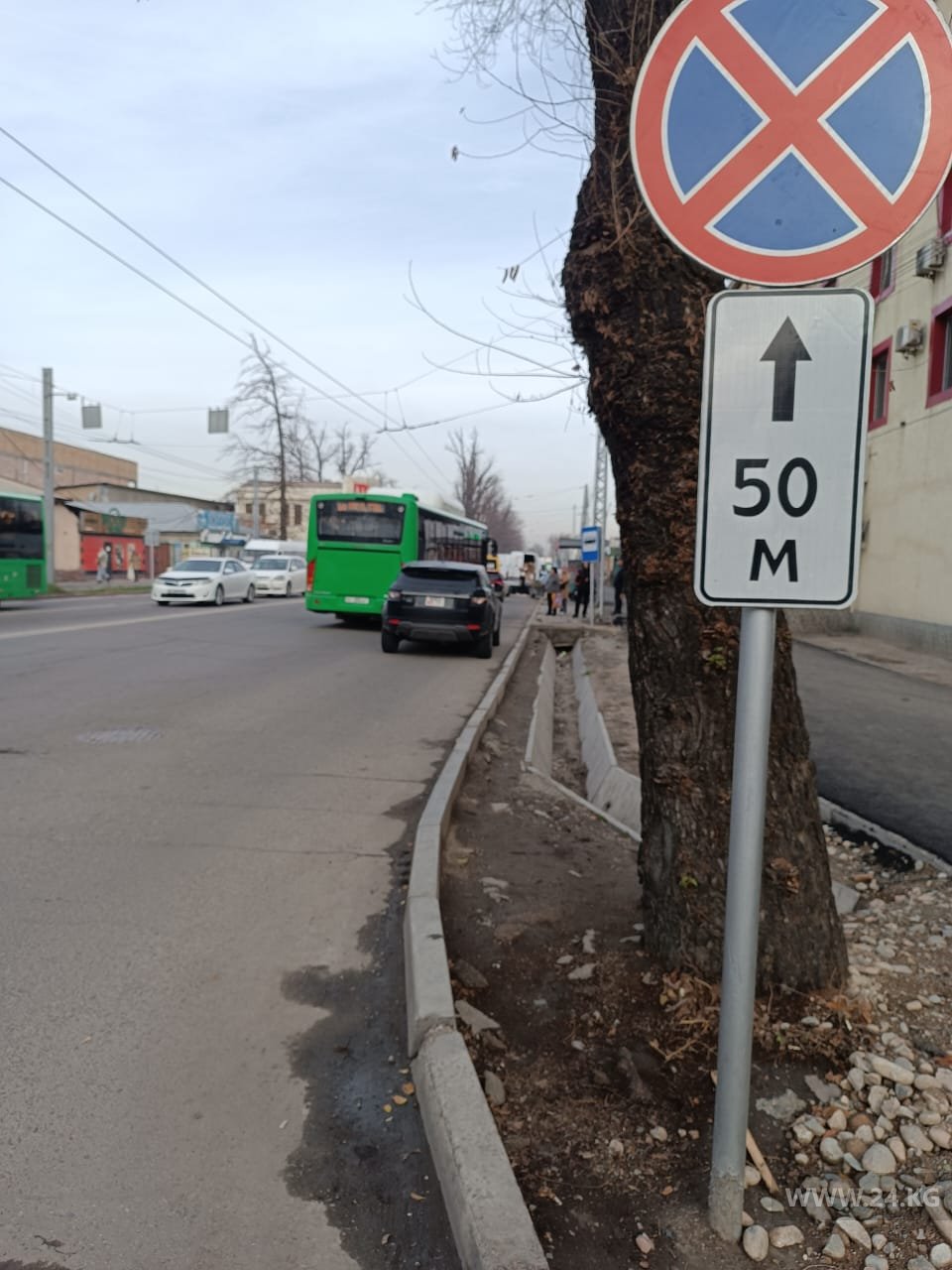 Чудаки парковки