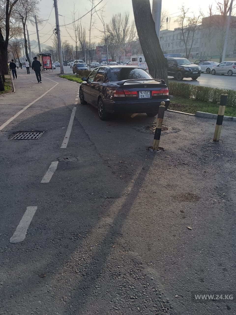 Чудаки парковки
