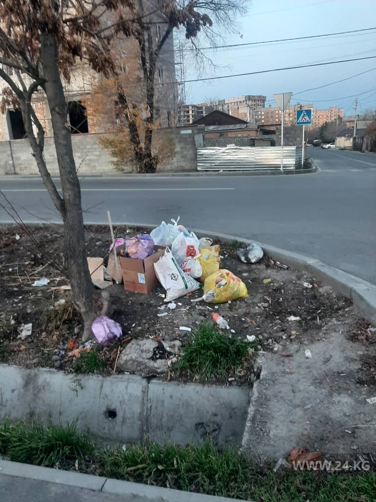 Мусор в Бишкеке