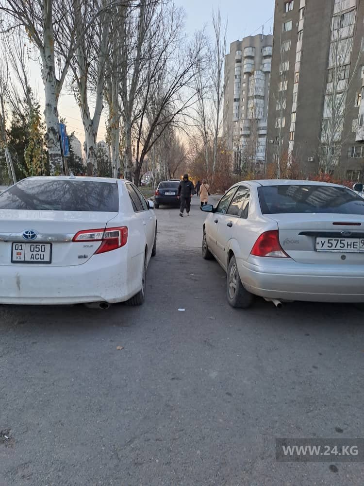 Чудаки парковки