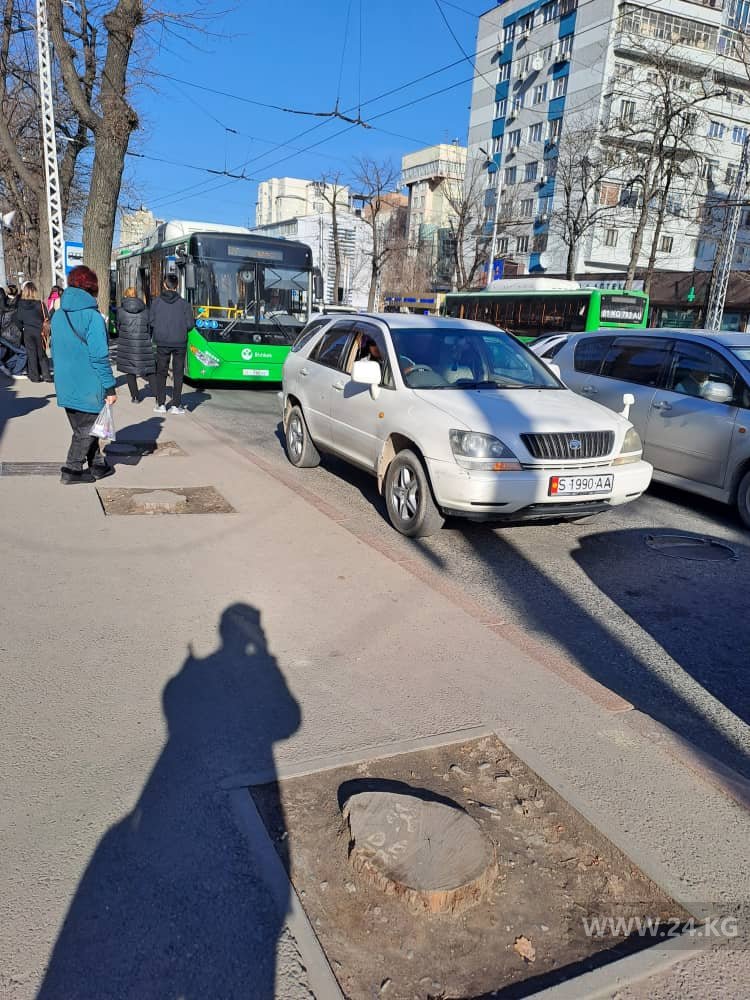 Чудаки парковки