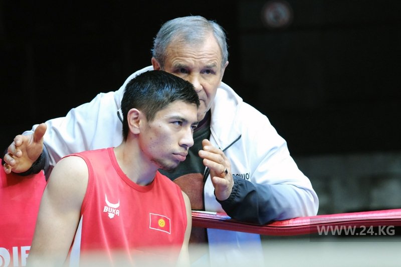 Чемпионат Кыргызстана по боксу