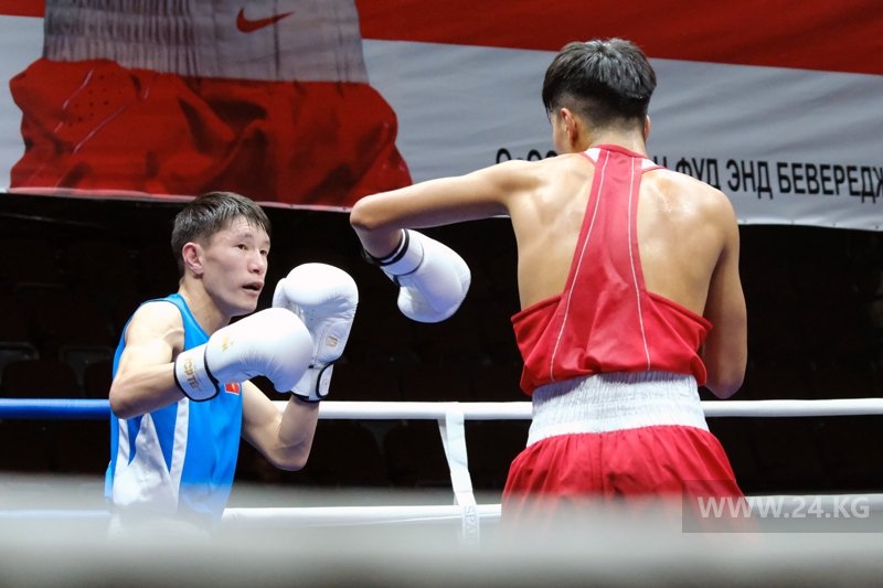 Чемпионат Кыргызстана по боксу
