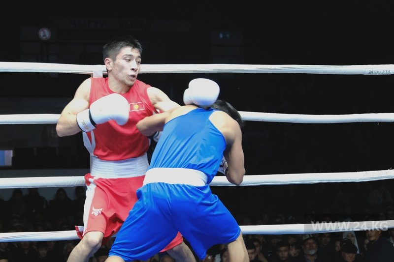 Чемпионат Кыргызстана по боксу