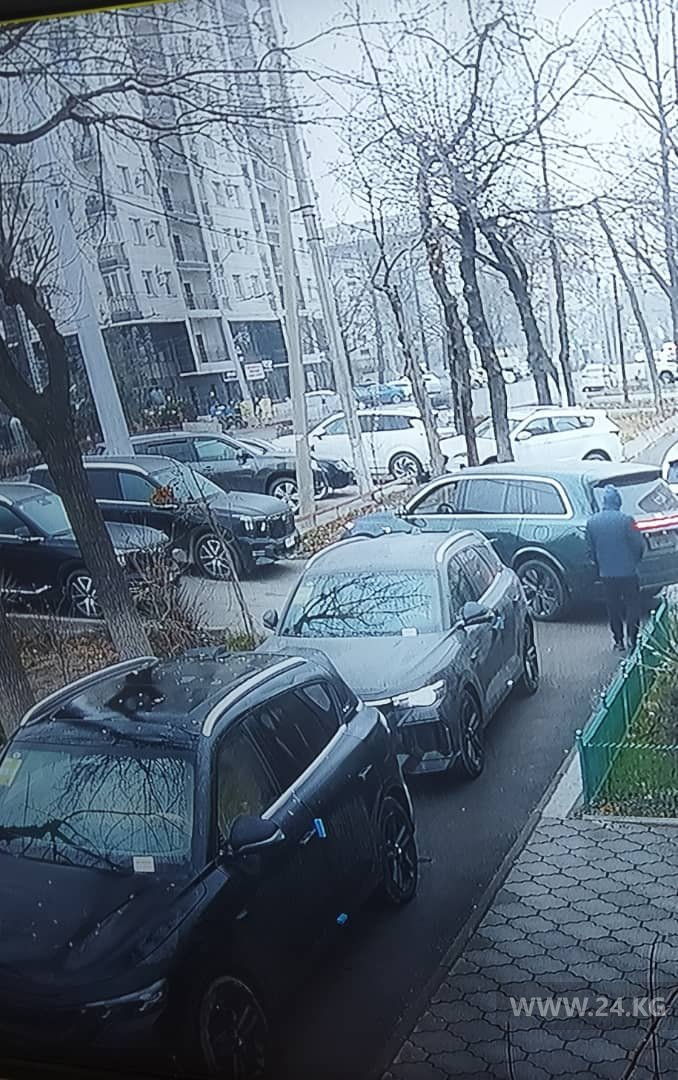 Чудаки парковки