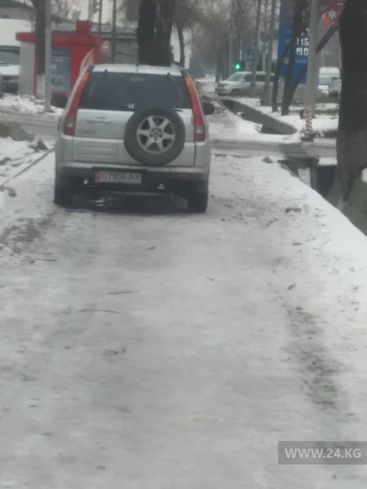 Чудаки парковки