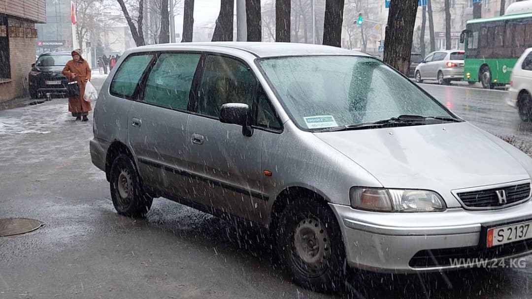 Чудаки парковки