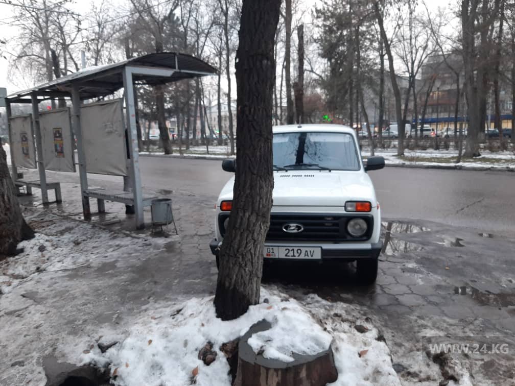 Чудаки парковки