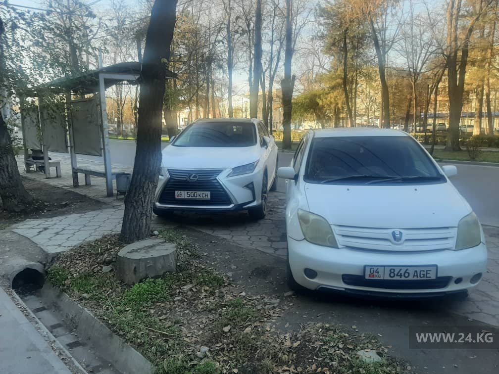 Чудаки парковки