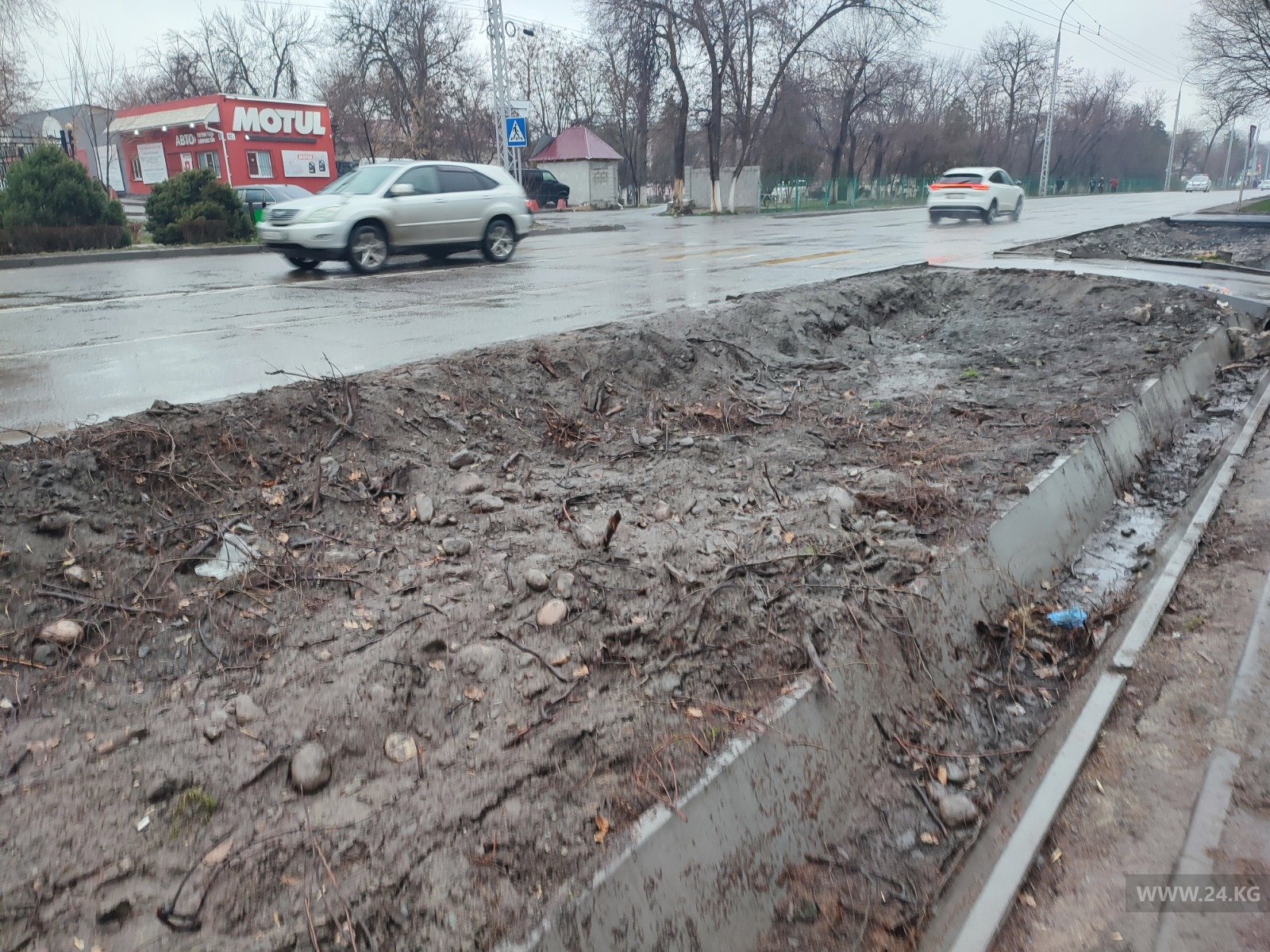 На улице Ахунбаева вырубили деревья