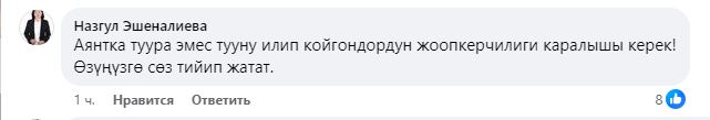 Комментарии под фотографией Садыра Жапарова