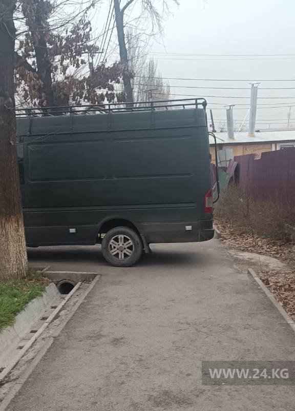 Чудаки парковки