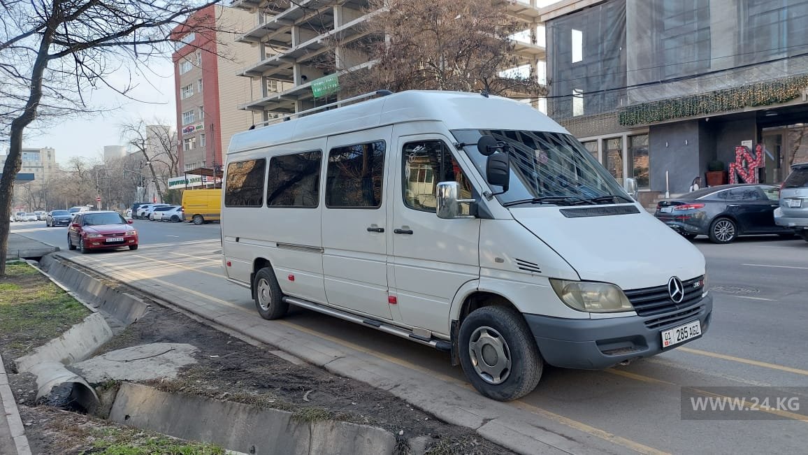 Чудаки парковки