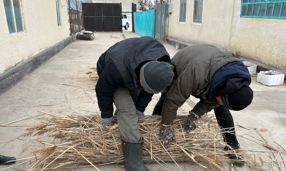 Искусственные гнезда для птиц