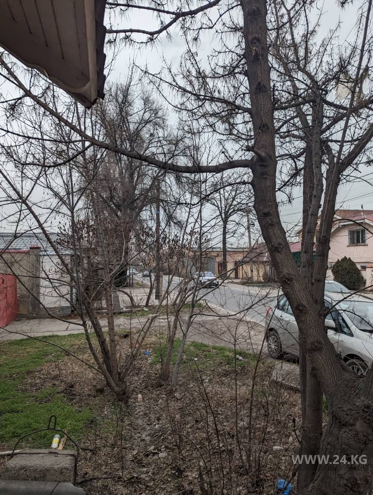Улица Элебаева