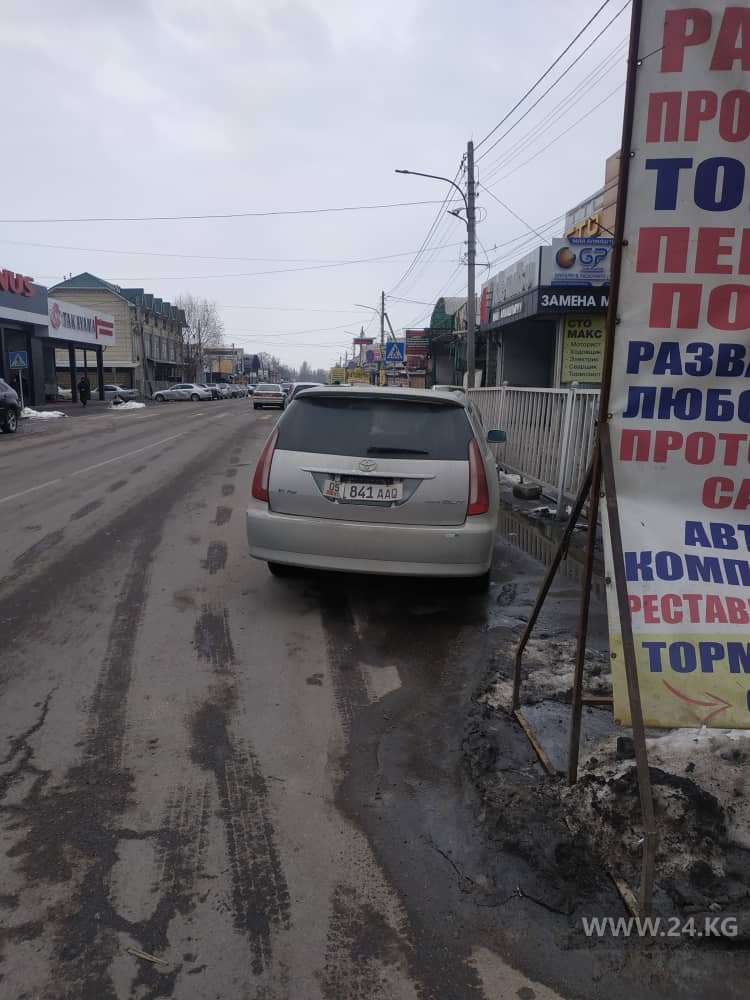 Чудаки парковки