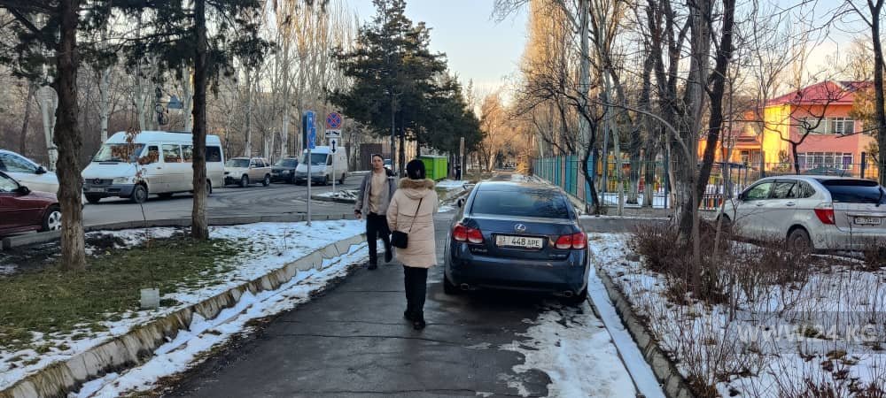 Чудаки парковки