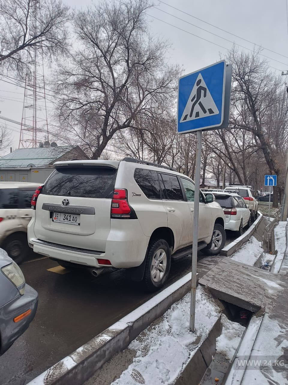 Чудаки парковки