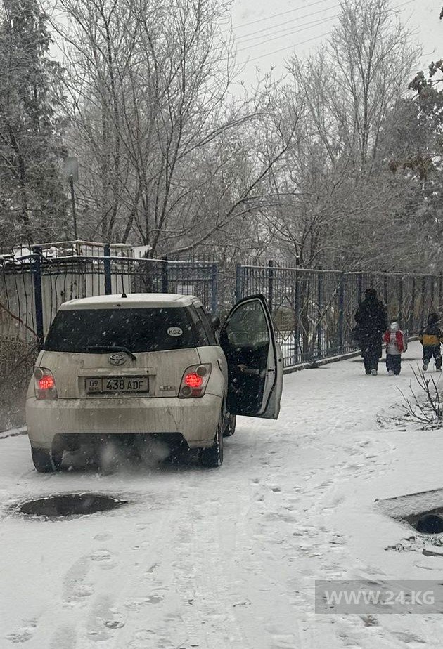 Чудаки парковки
