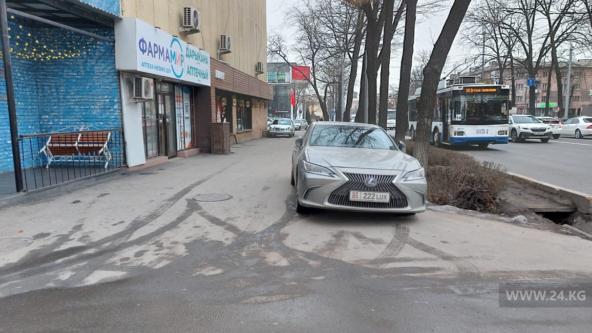 Чудаки парковки