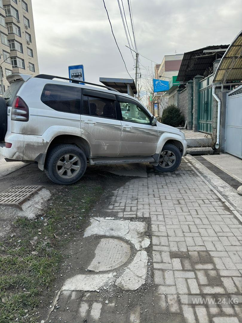Чудаки парковки