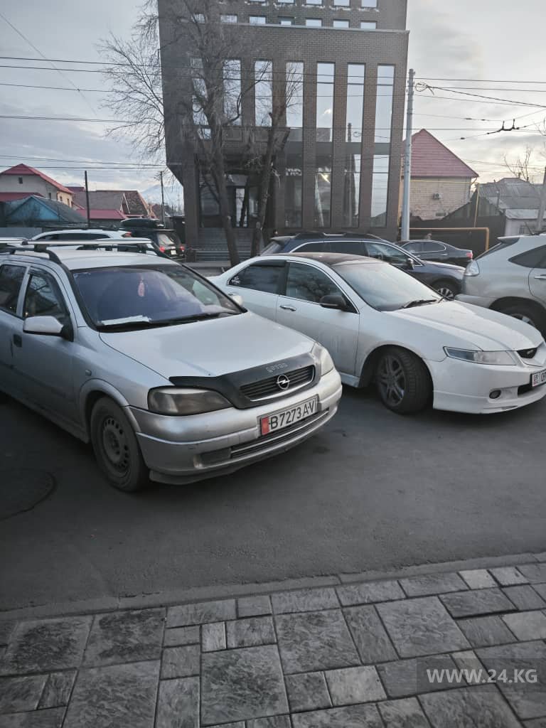 Чудаки парковки