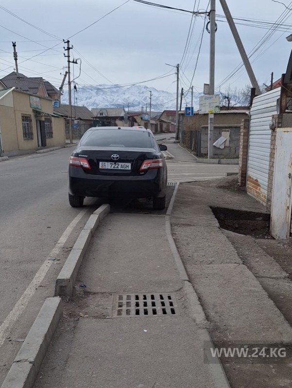 Чудаки парковки