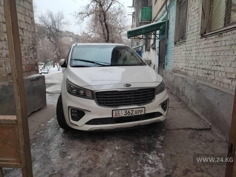 Чудаки парковки