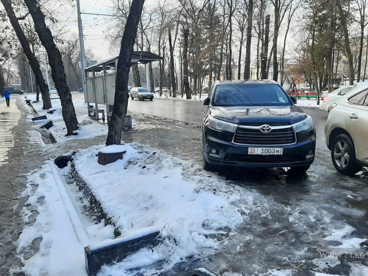 Чудаки парковки