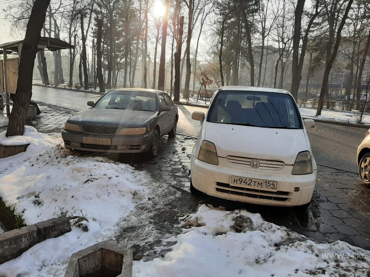 Чудаки парковки