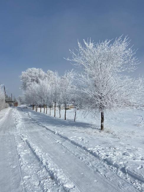 Снежная зима