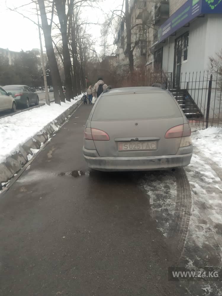 Чудаки парковки