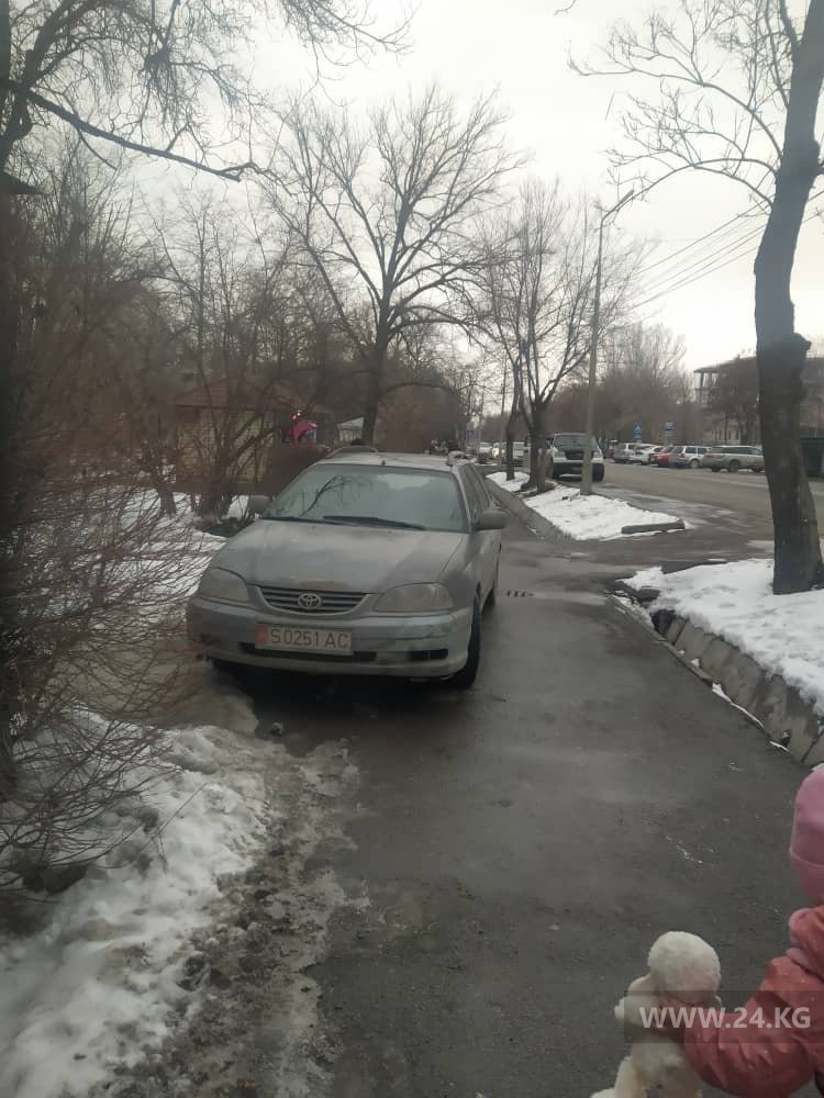 Чудаки парковки