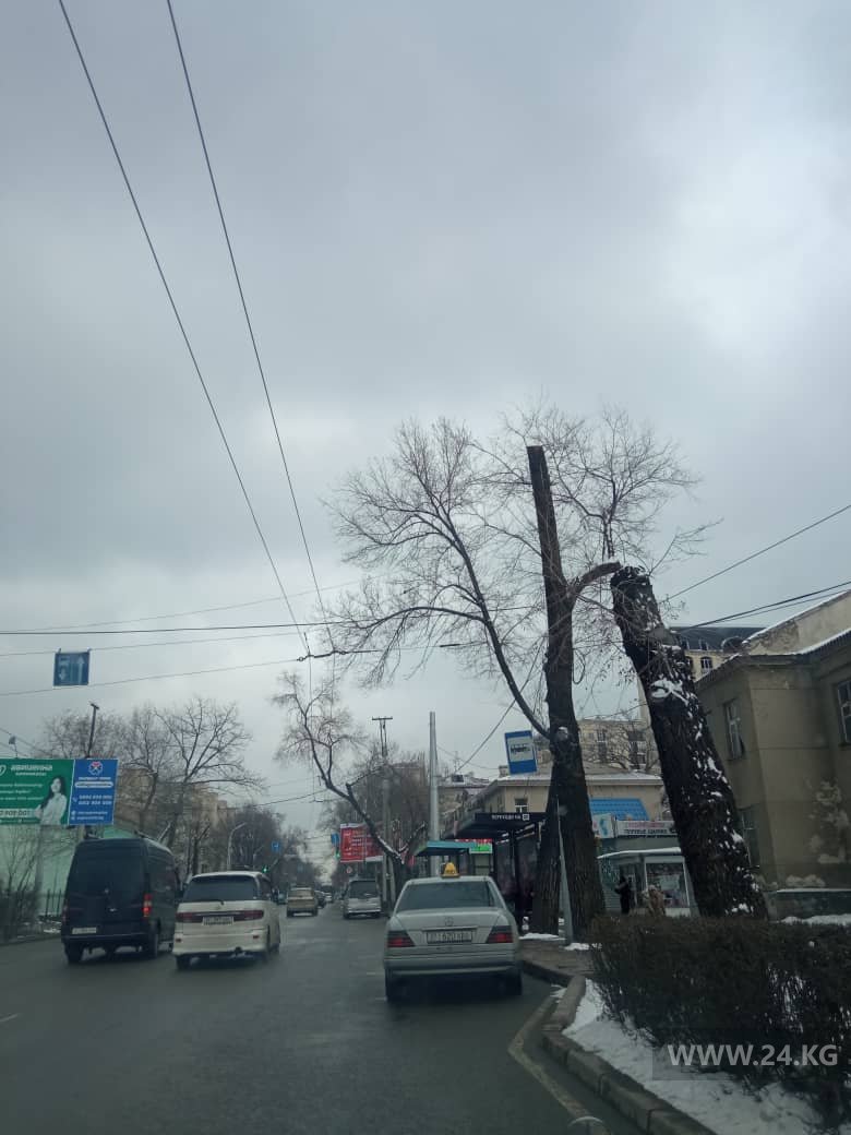 Чудаки парковки