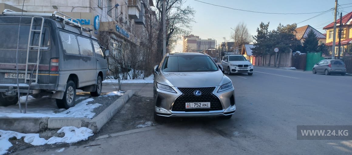 Чудаки парковки