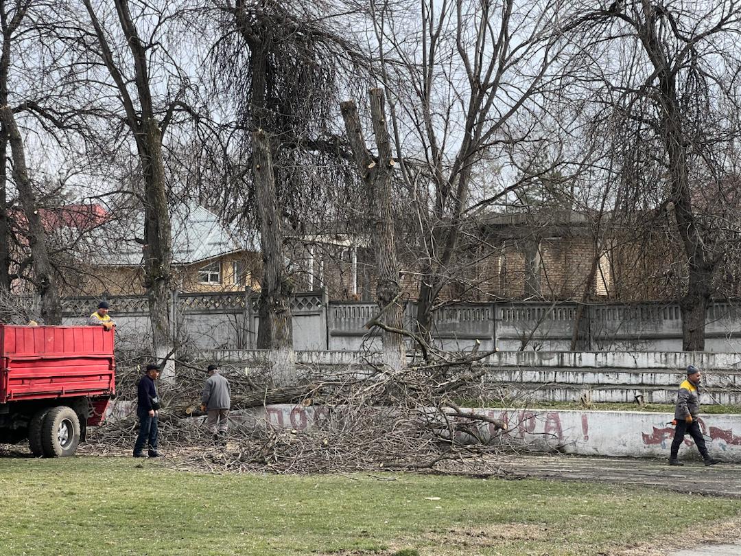 «Эмгек резерви» приводят в порядок
