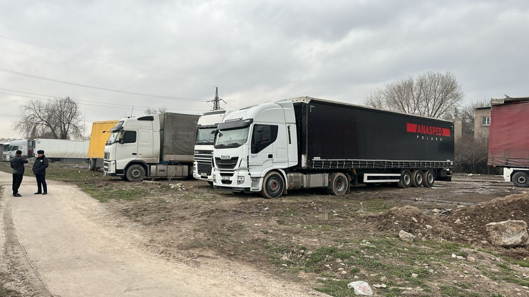 Парковка на газоне