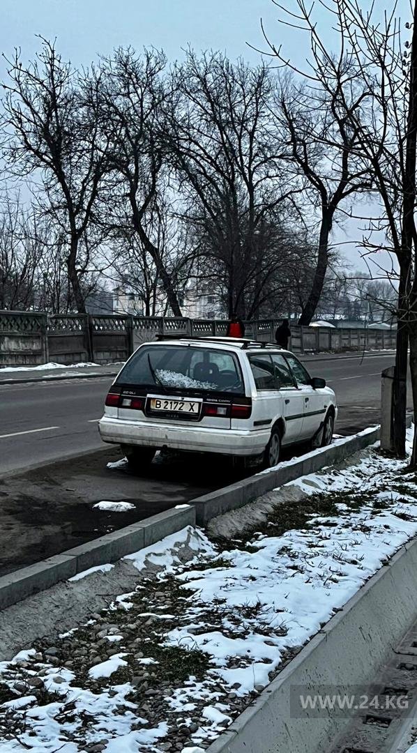 Чудаки парковки