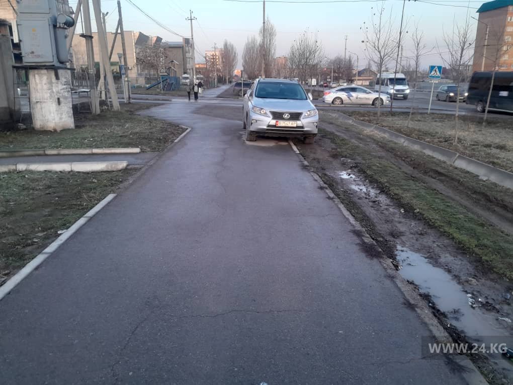 Чудаки парковки