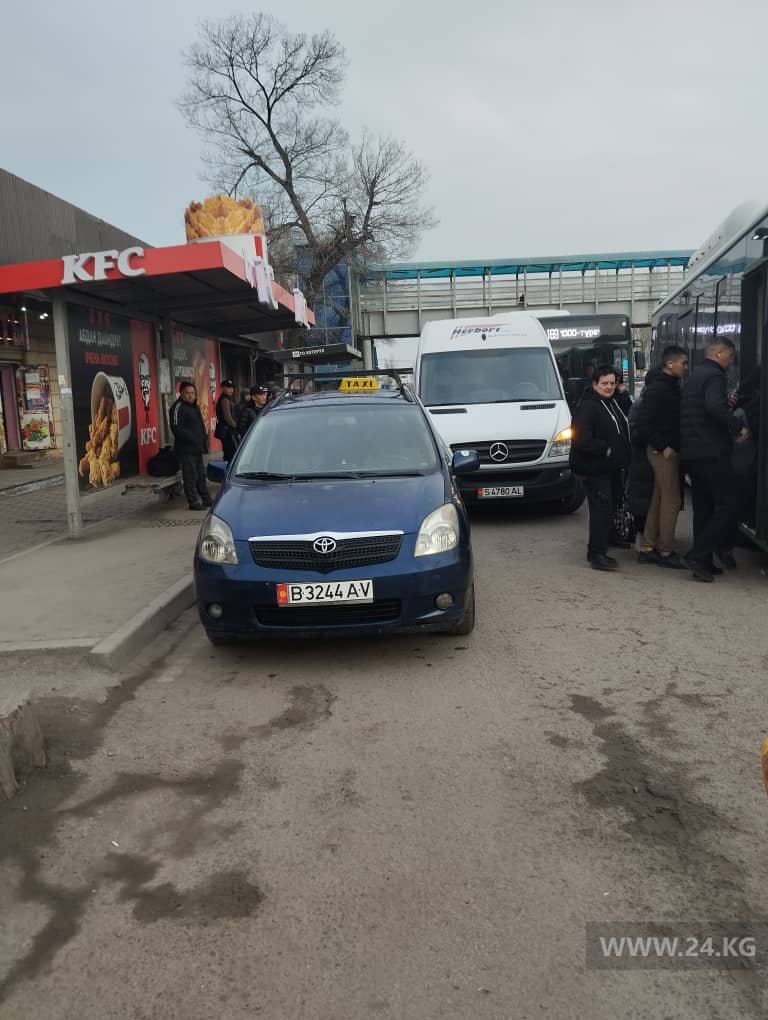 Чудаки парковки