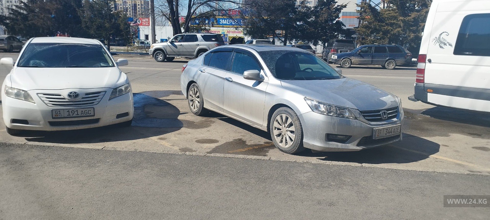 Чудаки парковки