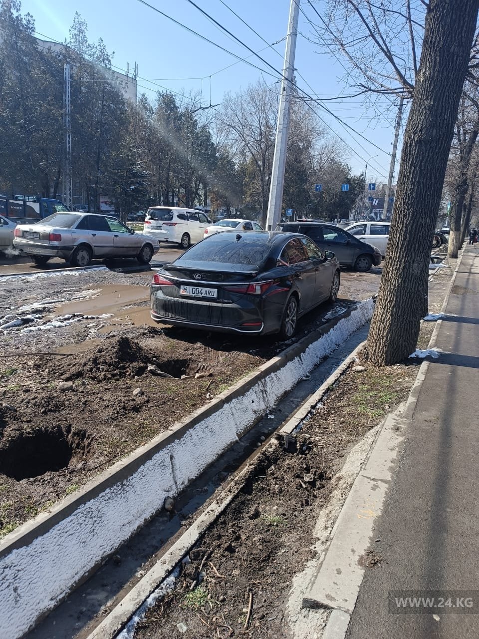 Чудаки парковки