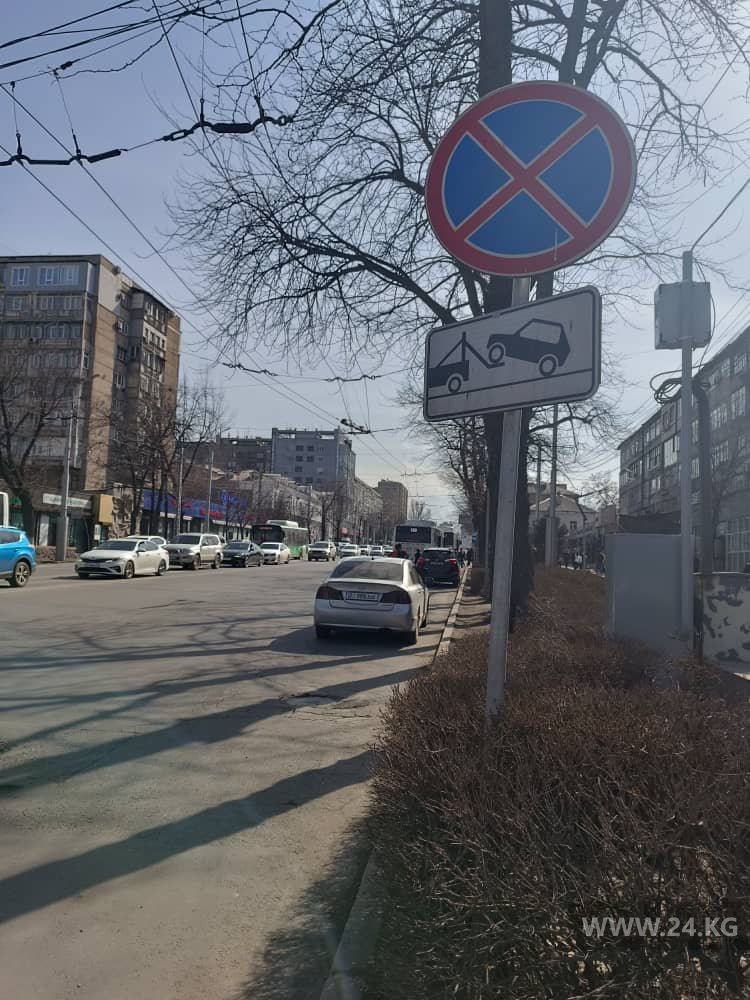 Чудаки парковки